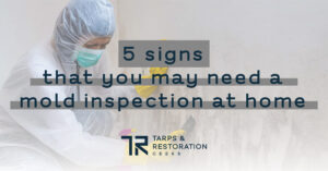 free mold inspection