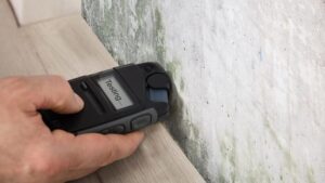 mold test