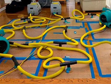 Water damage restoration and mold remediation experts working on a property to restore it to a safe condition.